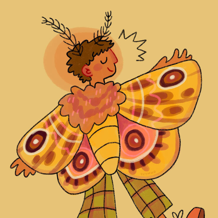 moth cape